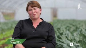 არტიშოკი
