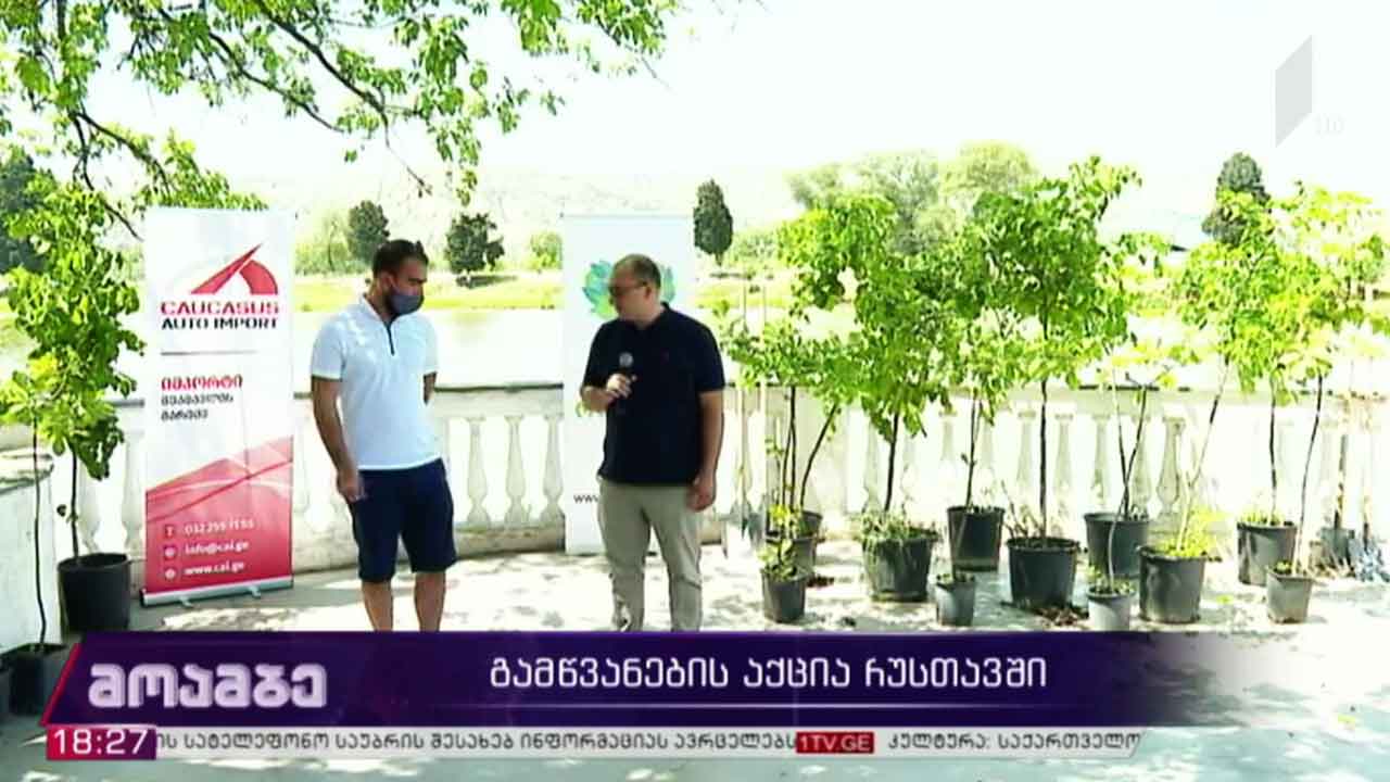 გამწვანების აქცია რუსთავში