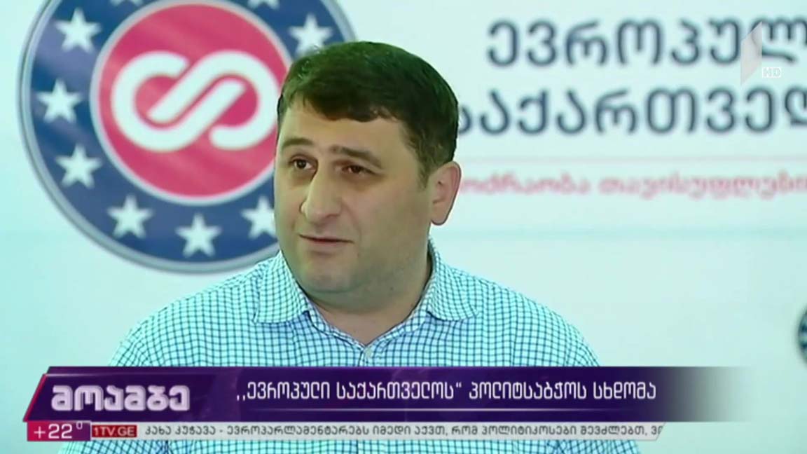 „ევროპული საქართველოს“ პოლიტსაბჭოს სხდომა 