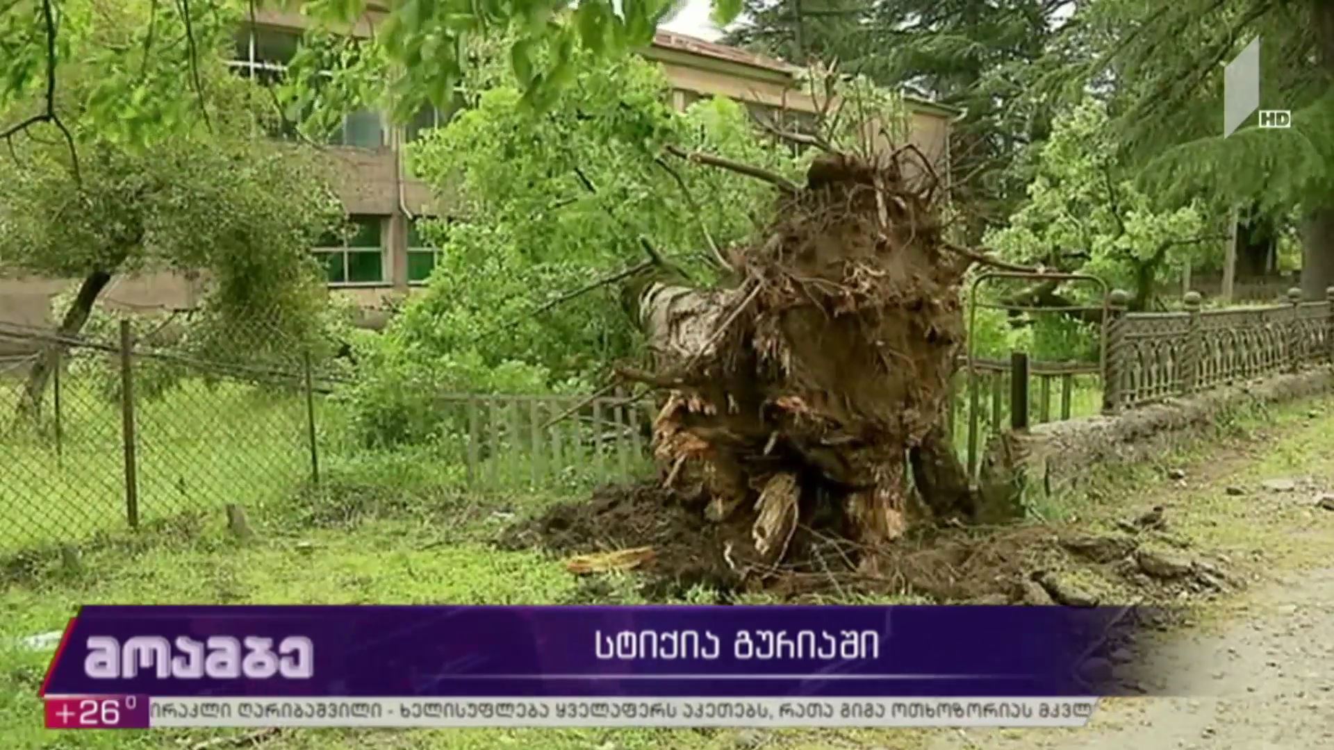 სტიქია გურიაში