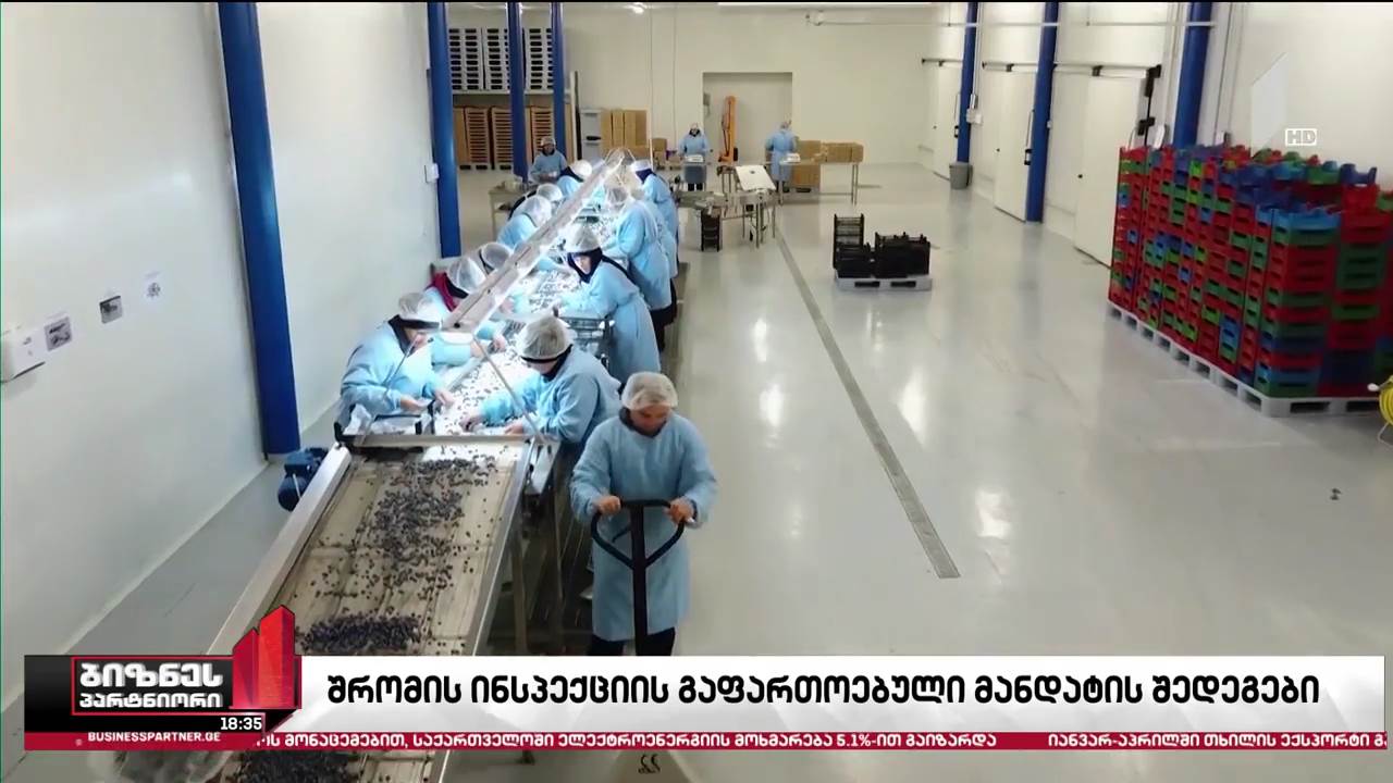 შრომის ინსპექციის გაფართოებული მანდატის შედეგები