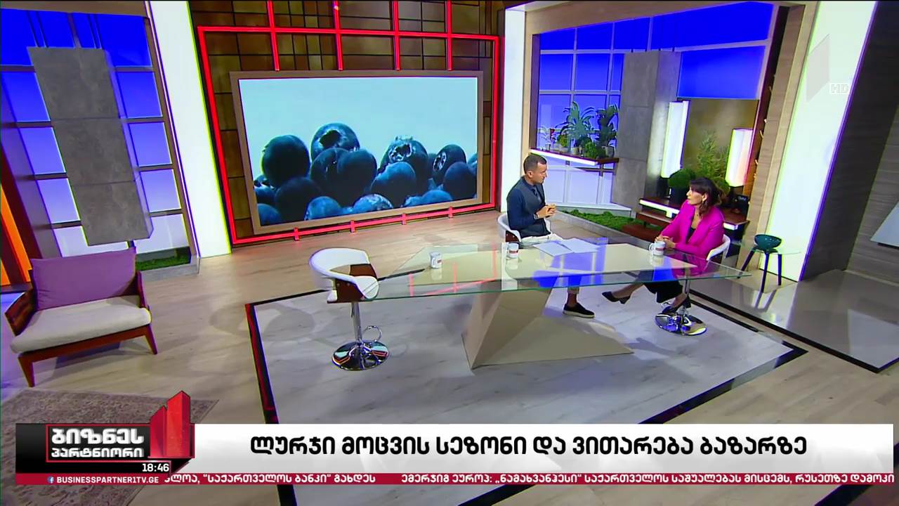 ლურჯი მოცვის სეზონი და ვითარება ბაზარზე