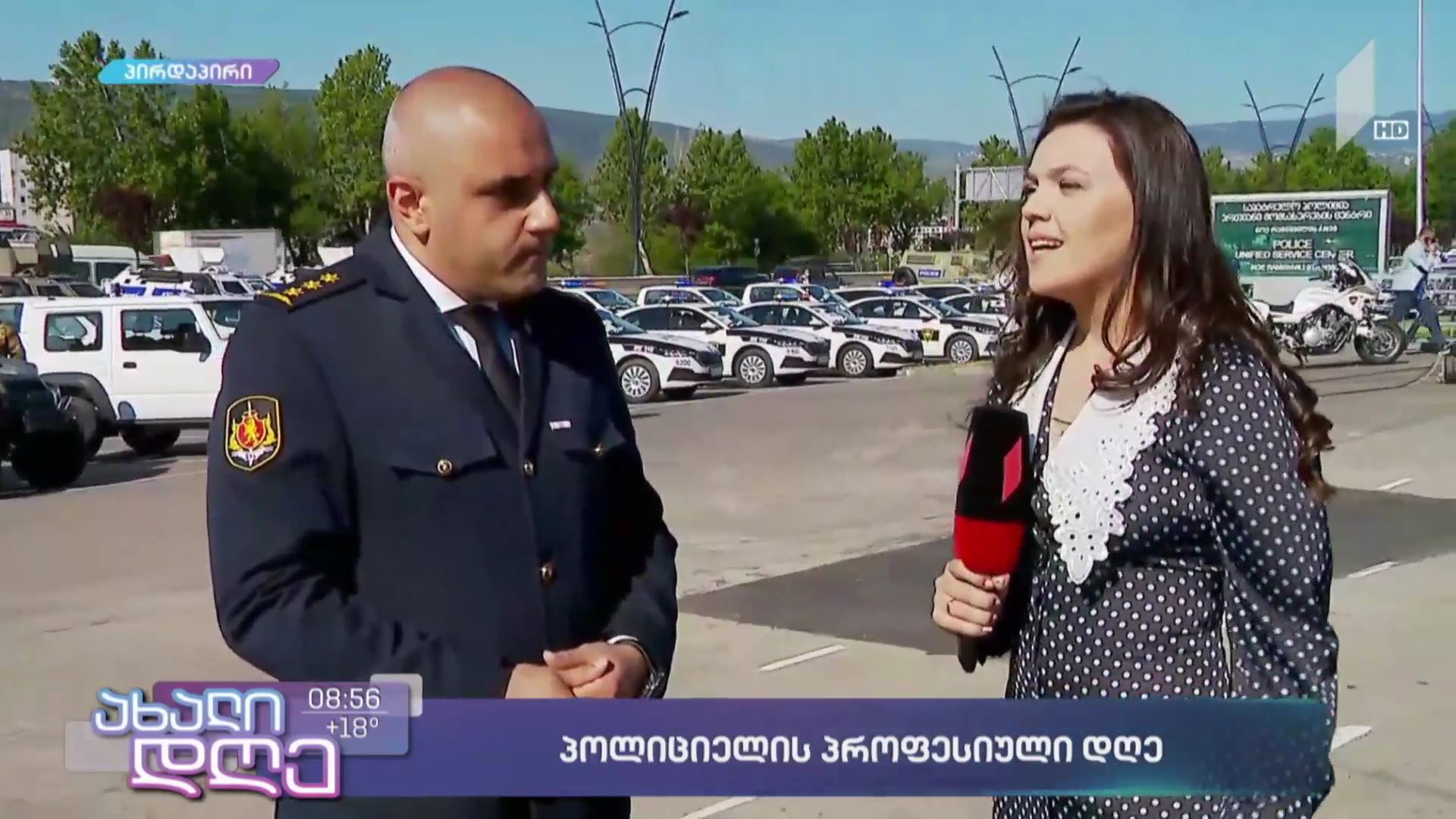 პოლიციის პროფესიული დღე
