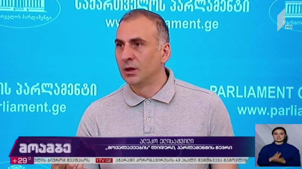 პროტესტი „ნამახვანჰესის“ წინააღმდეგ - პოლიტიკური შეფასებები  