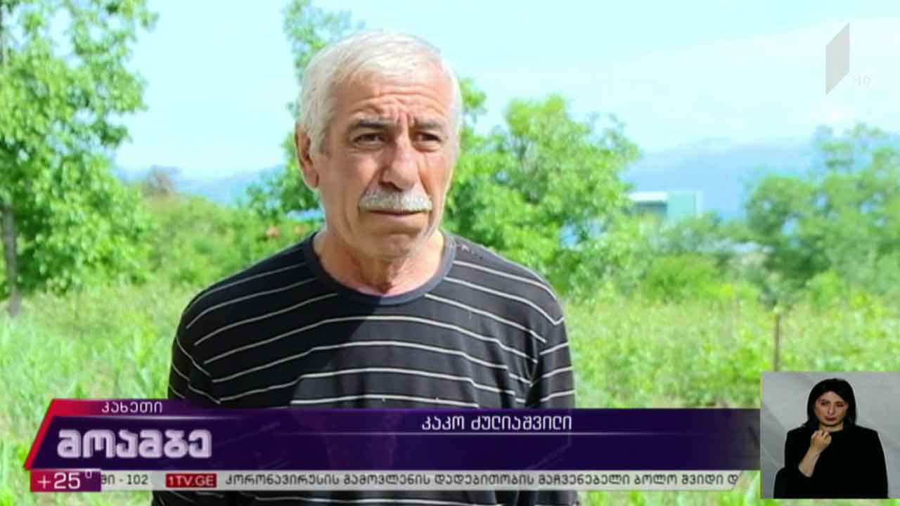 სტიქია კახეთში