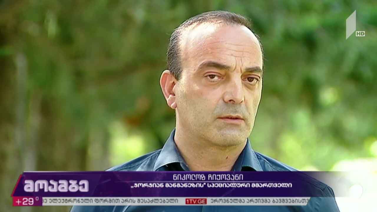 შუქრუთის მცხოვრებთა პროტესტი