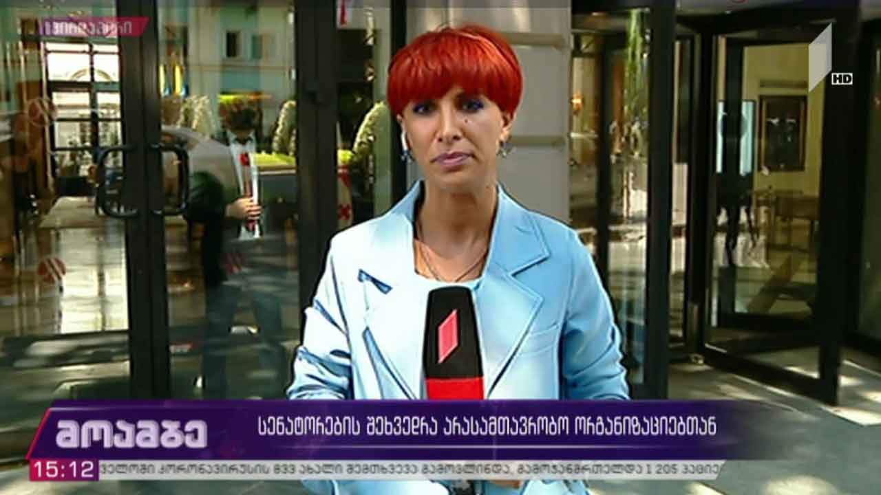 სენატორების შეხვედრა არასამთავრობო ორგანიზაციებთან