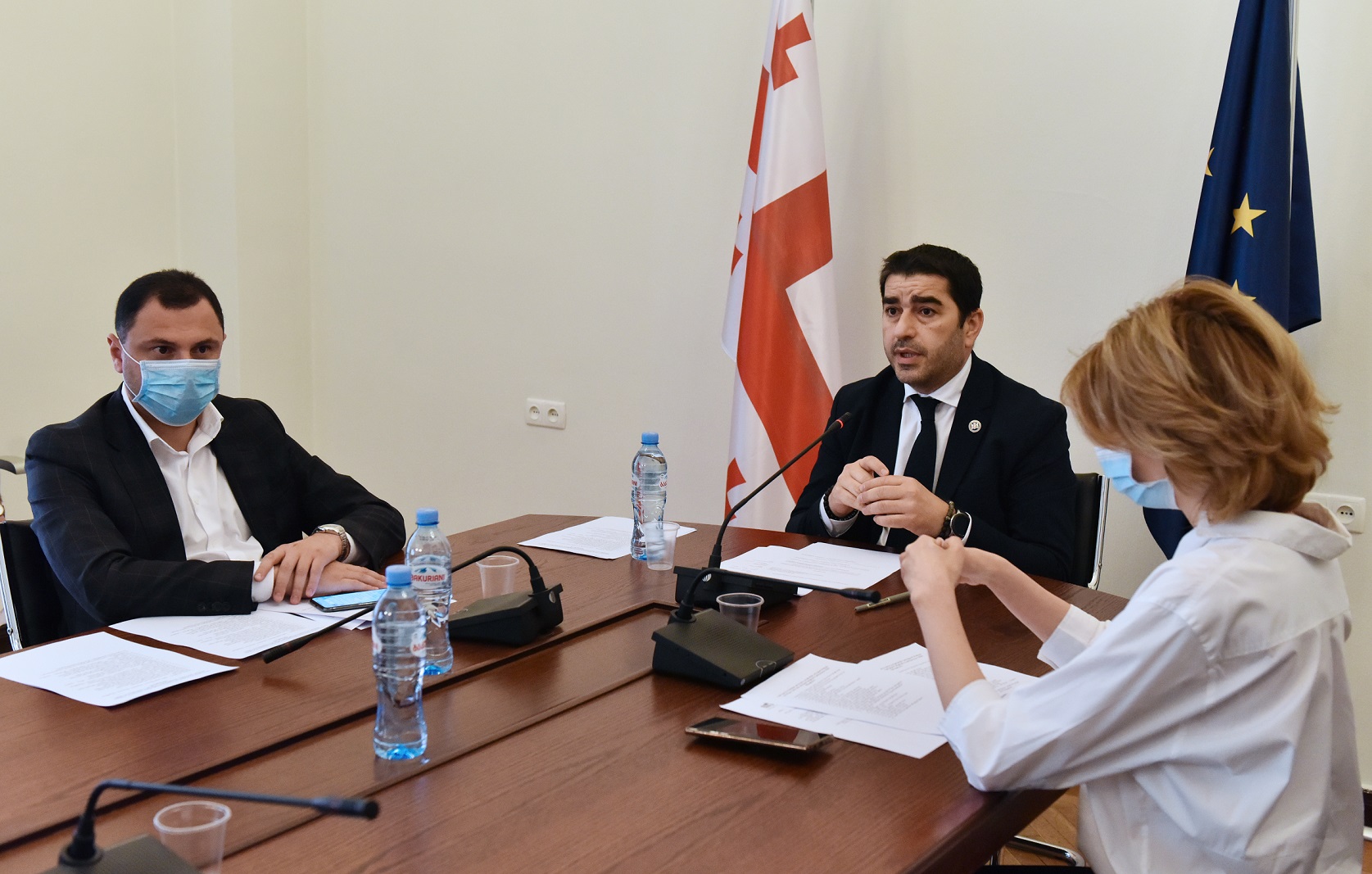 პარლამენტის განათლებისა და მეცნიერების კომიტეტთან არსებული სამეცნიერო-საკონსულტაციო საბჭოების შემადგენლობა გაიზარდა