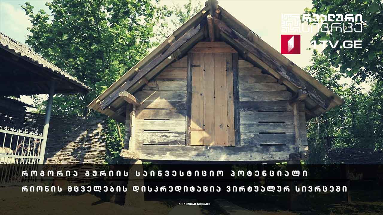 რეალური სივრცე - როგორია გურიის საინვესტიციო პოტენციალი / რიონის მცველების დისკრედიტაცია ვირტუალურ სივრცეში