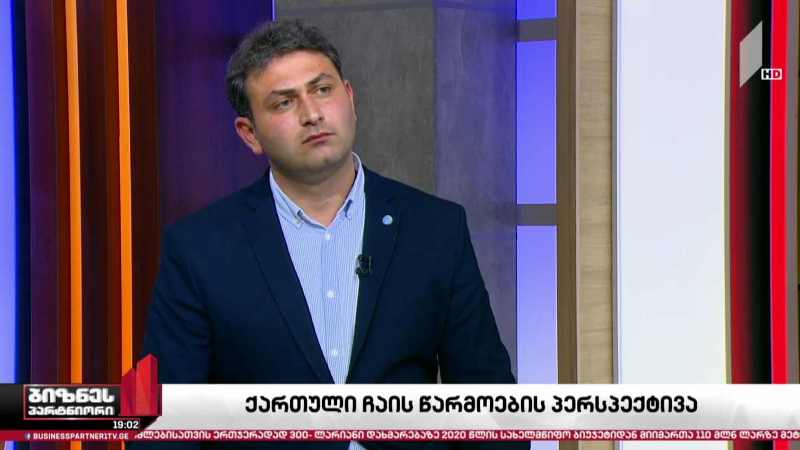 ჩაის წარმოების პერსპექტივა საქართველოში