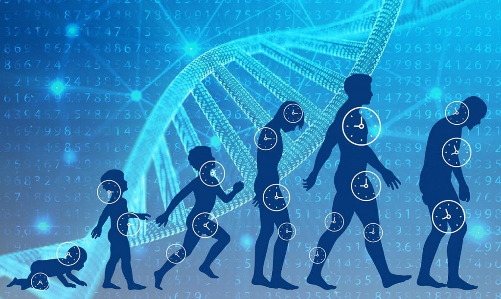 განსაზღვრავს თუ არა ადამიანის სიცოცხლის ხანგრძლივობას უმთავრესად გენეტიკა — ექსპერტთა პასუხი #1tvმეცნიერება