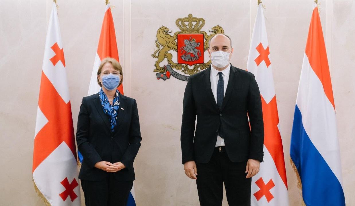 თავდაცვის მინისტრი ნიდერლანდების სამეფოს ელჩს შეხვდა