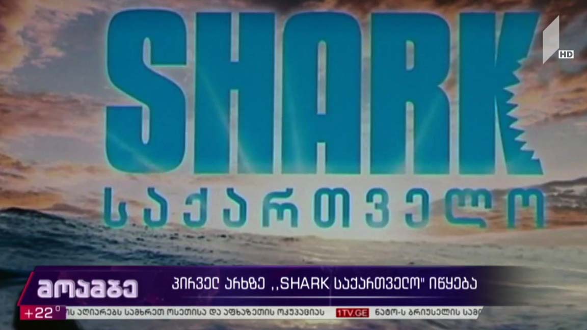 პირველ არხზე ახალი მეგაპროექტი „SHARK საქართველო“ იწყება