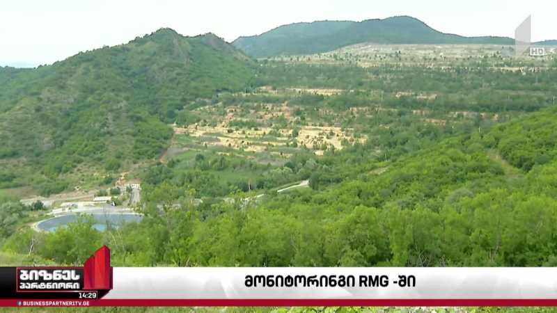 მონიტორინგი RMG-ში