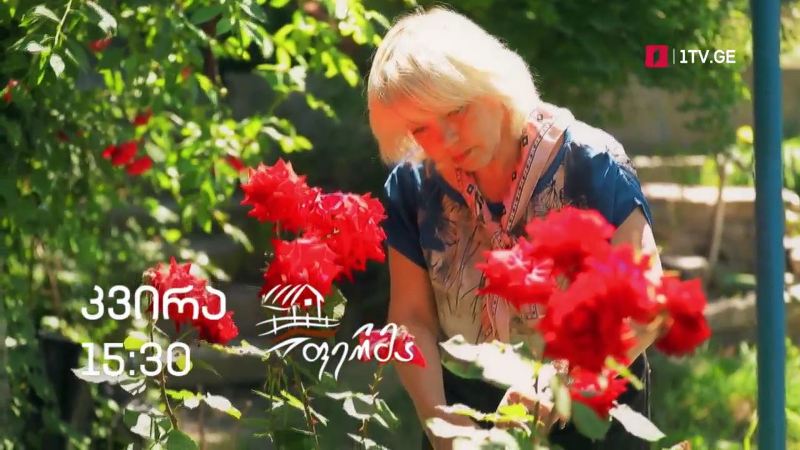 „ფერმა“ – 20 ივნისს, 15:30