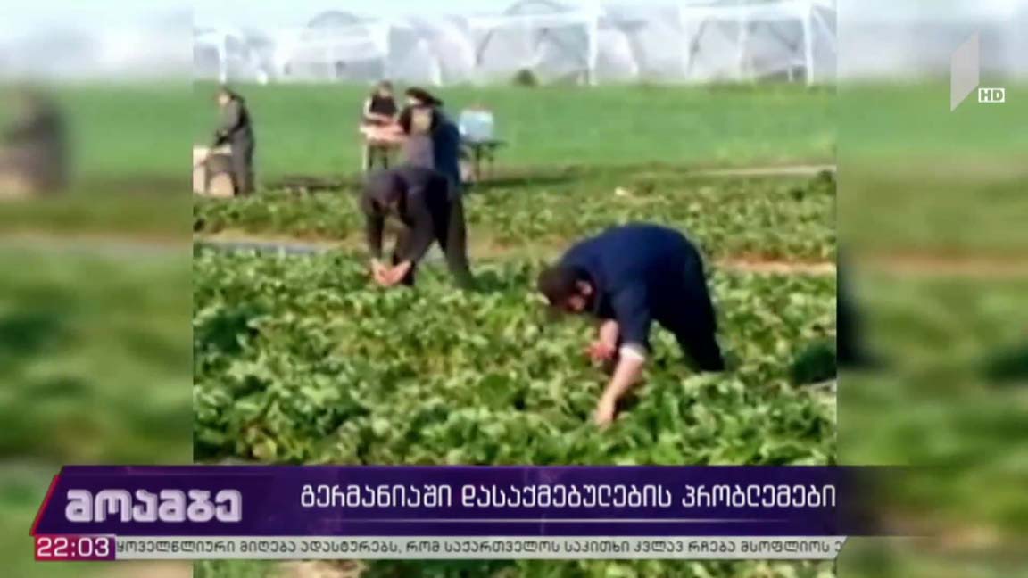 გერმანიაში დასაქმებულების პრობლემები