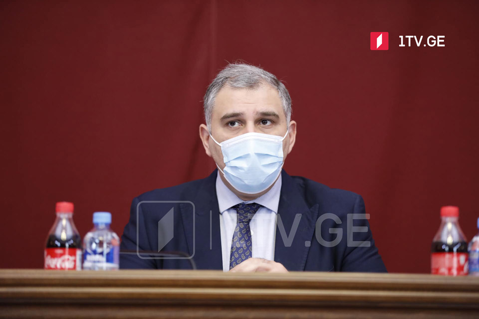 მიხეილ სარჯველაძე - შარლ მიშელის დოკუმენტი არ ამბობს, სასამართლოს პარალიზება მოახდინეთ და საერთოდ გაჩერდით, ვიდრე ოპოზიცია არ გეტყვით, დაიძარითო
