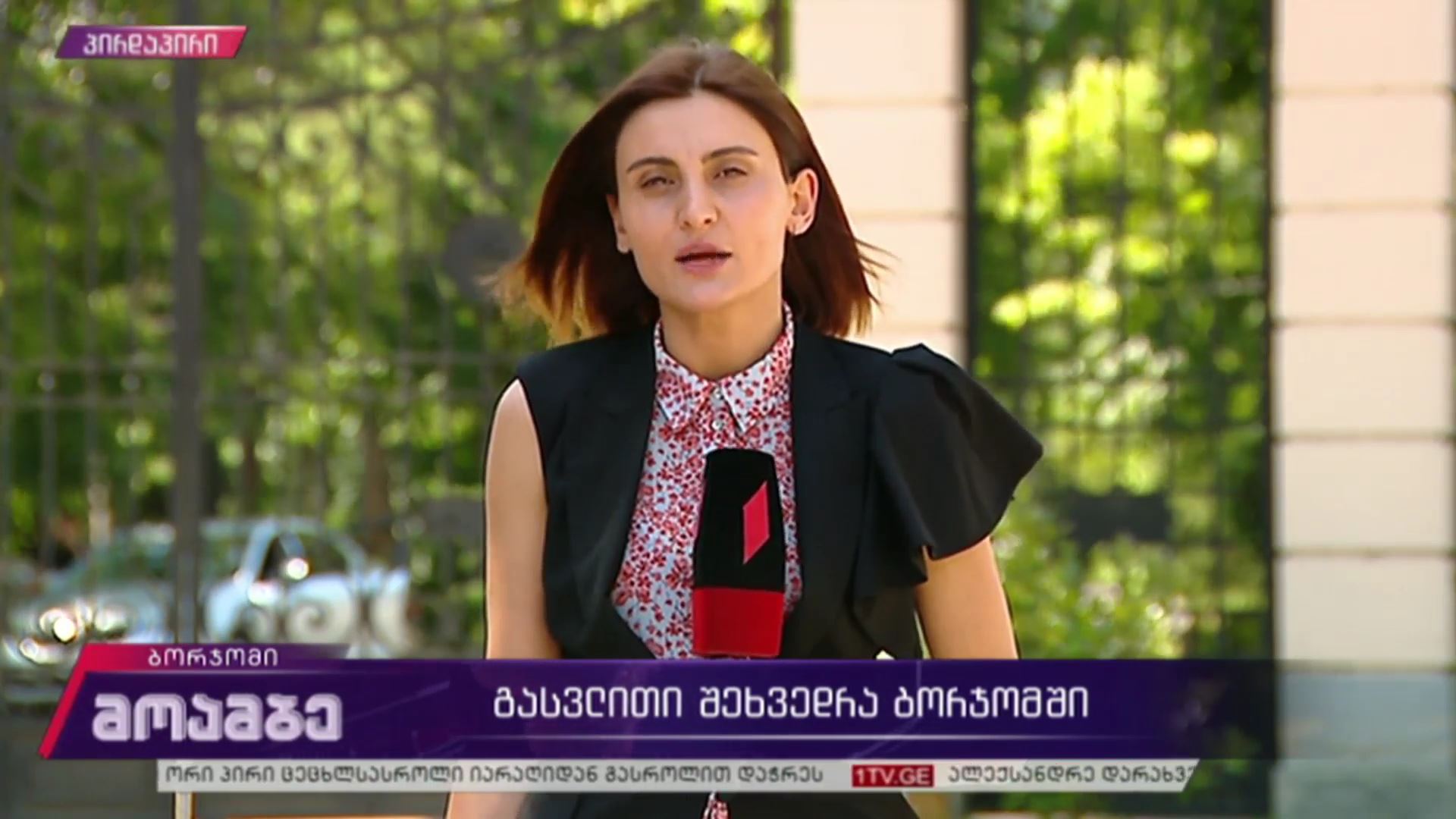 გასვლითი შეხვედრა ბორჯომში