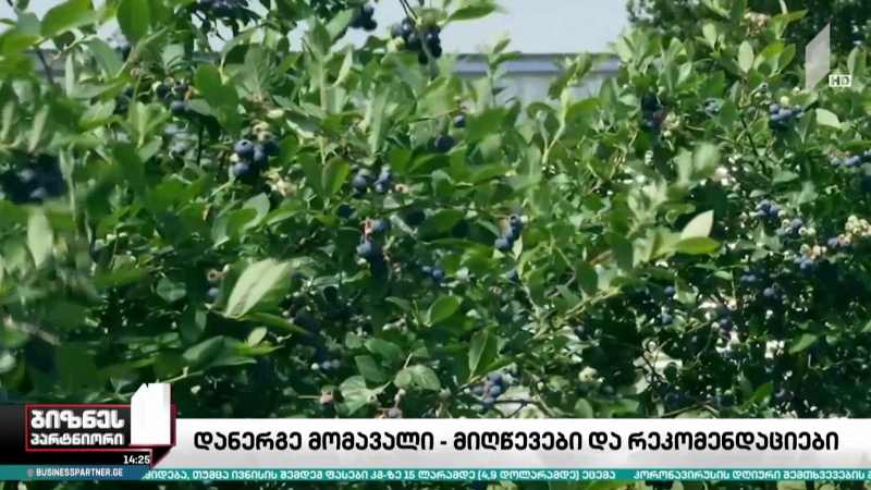 „დანერგე მომავალი“ - მიღწევები და რეკომენდაციები