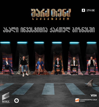 შარქ თენქ საქართველო