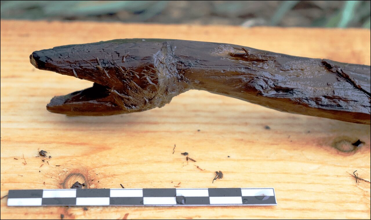 ფინეთში აღმოაჩინეს 4400 წლის წინანდელი, ხისგან გამოკვეთილი გველის ფორმის ჯოხი, რომელიც სავარაუდოდ შამანს ეკუთვნოდა — #1tvმეცნიერება
