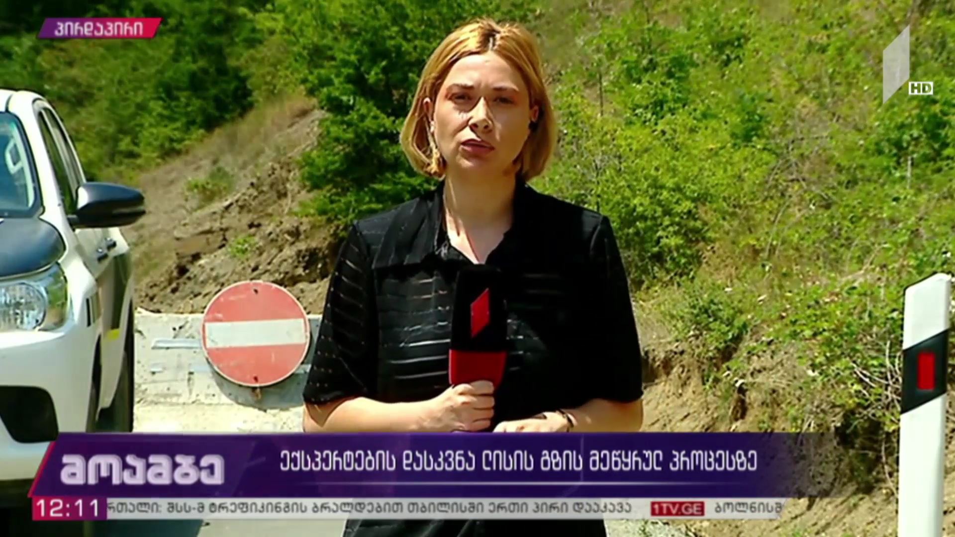 ექსპერტების დასკვნა ლისის გზის მეწყრულ პროცესზე   