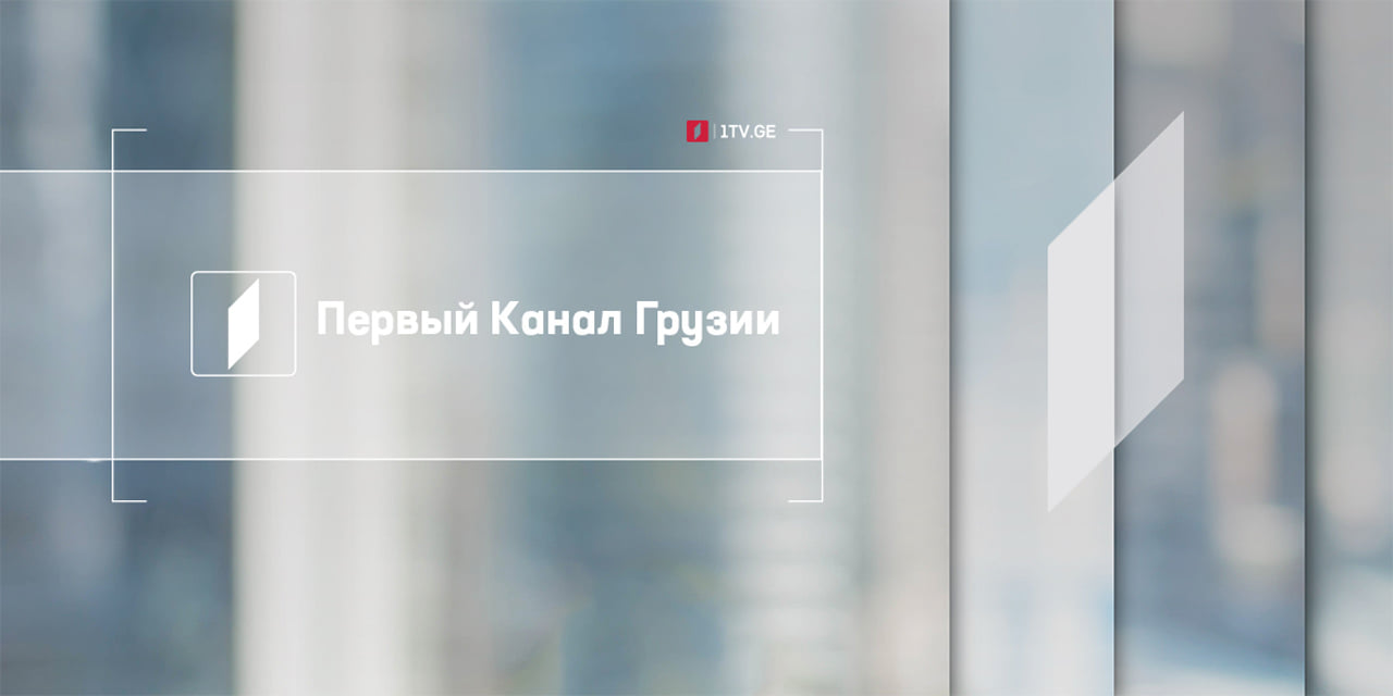 Первый канал Грузии осуждает насилие в отношении журналистов, в результате чего пострадал оператор Общественного вещателя Илья Твалиашвили