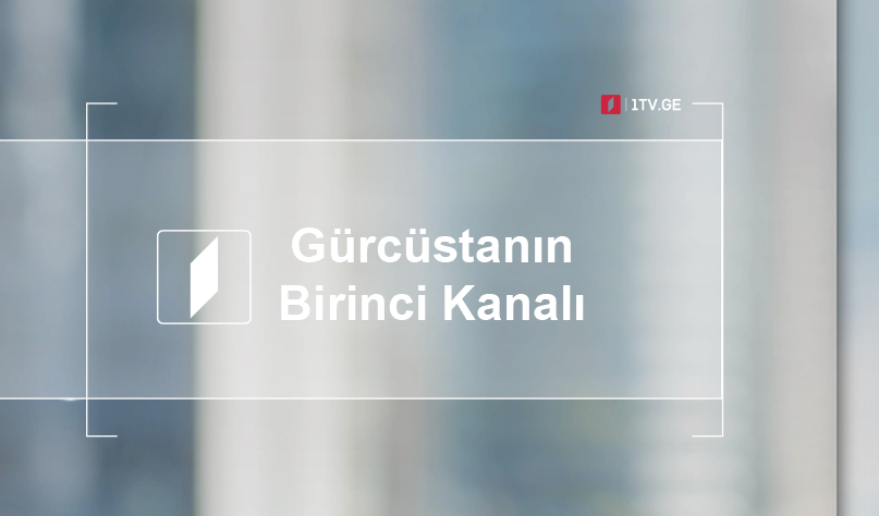 Gürcüstanın Birinci Kanalı jurnalistlərə qarşı tətbiq olunan şiddəti pisləyir, hadisə nəticəsində İctimai Yayımçının operatoru İlia Tvaliaşvili xəsarət aldı