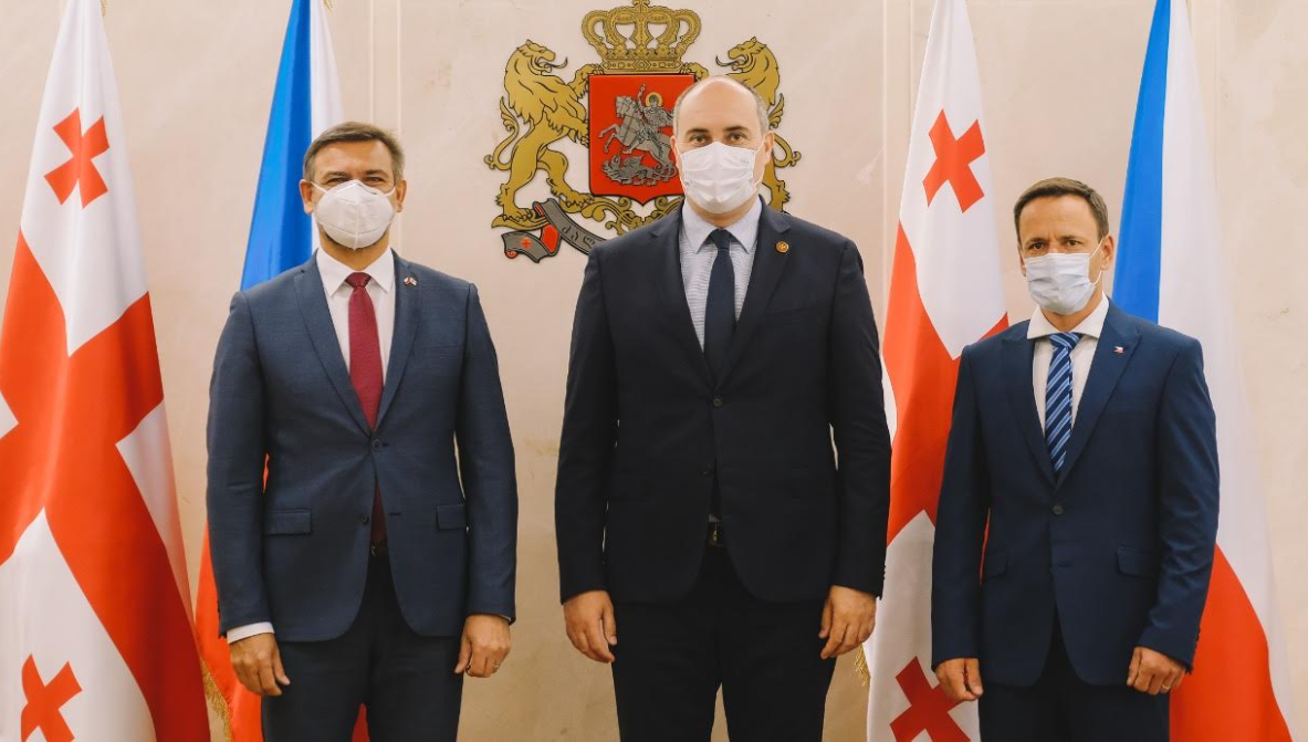 ჯუანშერ ბურჭულაძე ჩეხეთის ელჩს შეხვდა