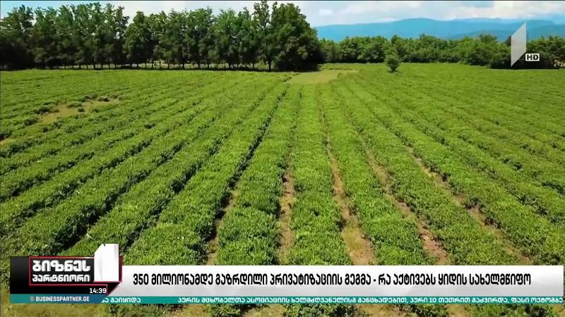 350 მილიონამდე გაზრდილი პრივატიზაციის გეგმა - რა აქტივებს ყიდის სახელმწიფო?