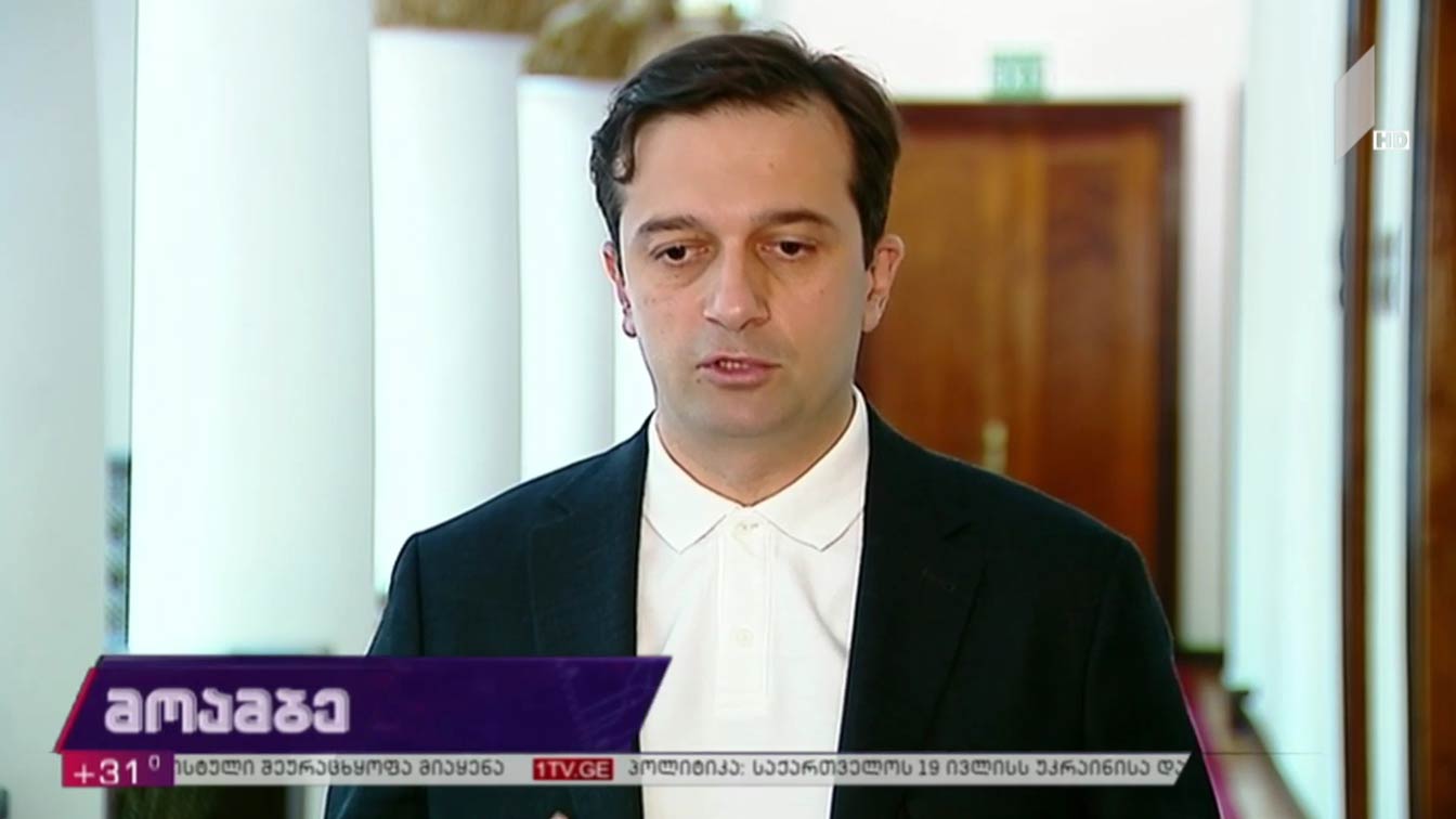პოლიტიკური შეფასებები შსს-ს საგამოძიებო მოქმედებებზე 