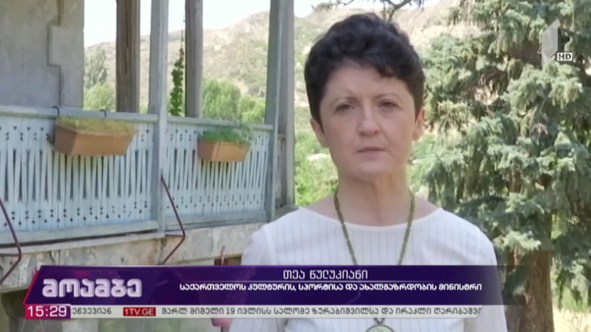 კულტურის მინისტრი არტ-ვილა „გარიყულაში“