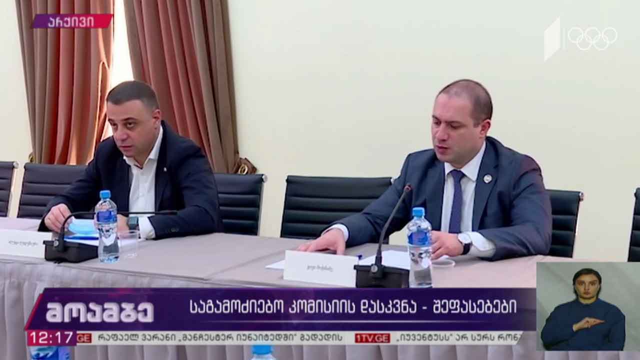 საგამოძიებო კომისიის დასკვნა - შეფასებები