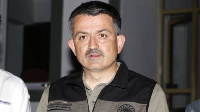 თურქეთის სოფლის მეურნეობის მინისტრის განცხადებით, ქვეყნის 44 პროვინციაში 197 ტყის ხანძრიდან 186 კონტროლის ქვეშაა მოქცეული