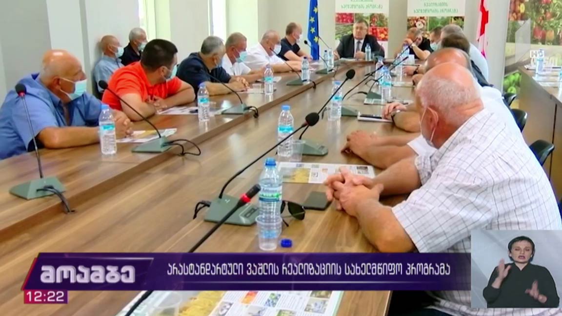 არასტანდარტული ვაშლის რეალიზაციის სახელმწიფო პროგრამა 