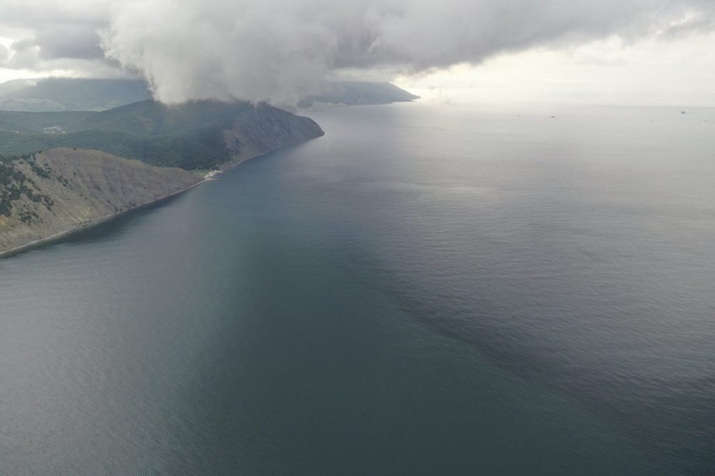 ნოვოროსიისკთან შავ ზღვაში ასობით ტონა ნავთობი ჩაიღვარა — WWF შიშობს, რომ ეკოსისტემა საფრთხეშია #1tvმეცნიერება