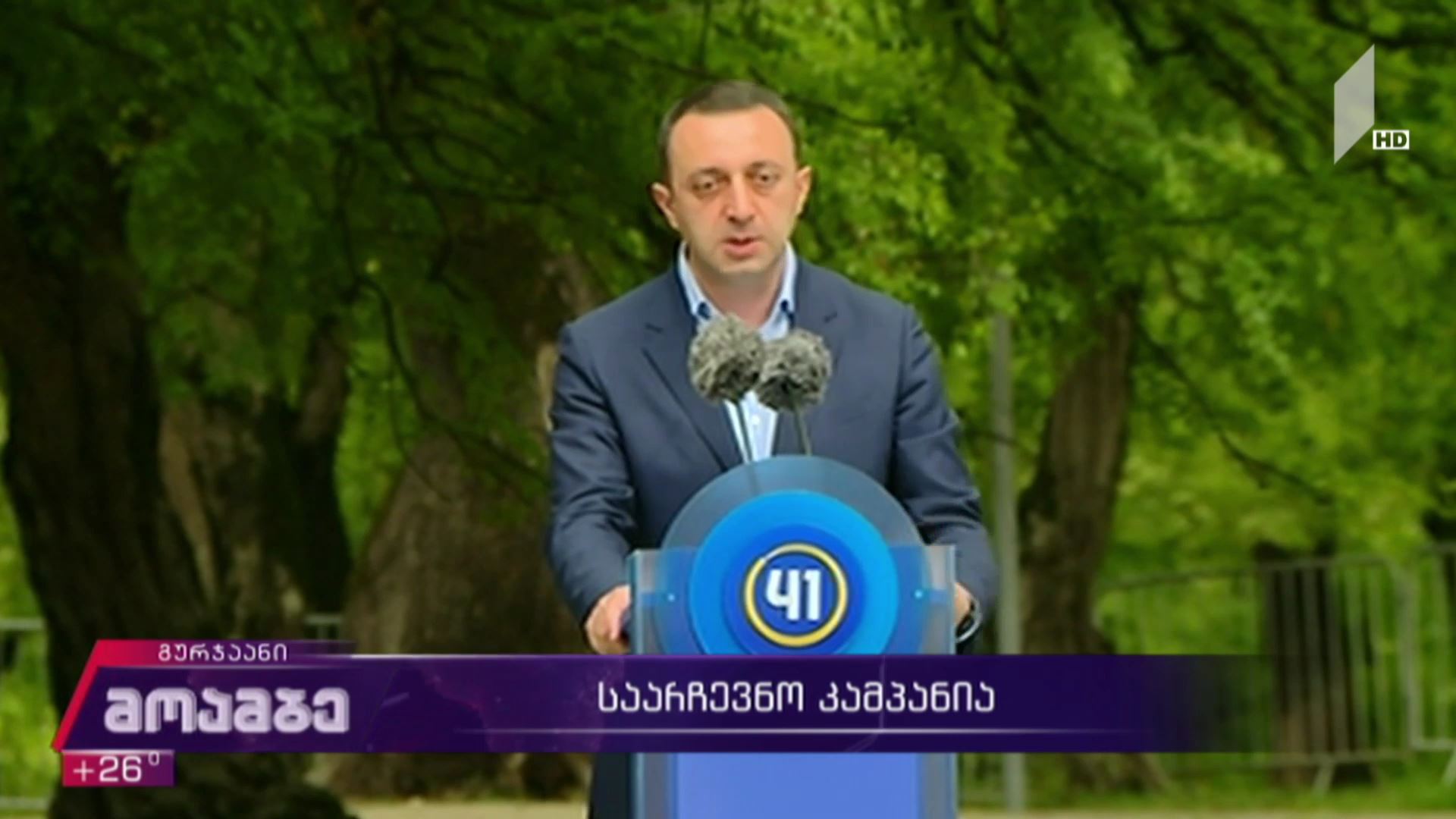 საარჩევნო კამპანია