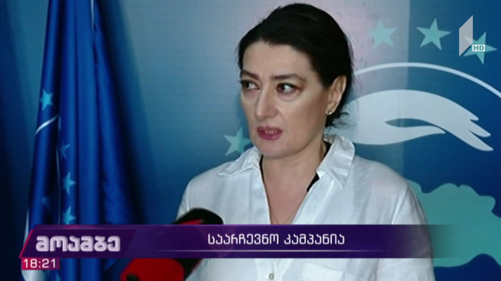 საარჩევნო კამპანია
