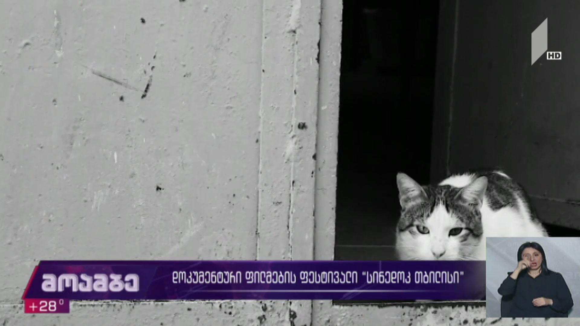 დოკუმენტური ფილმების ფესტივალი „სინედოკ თბილისი“