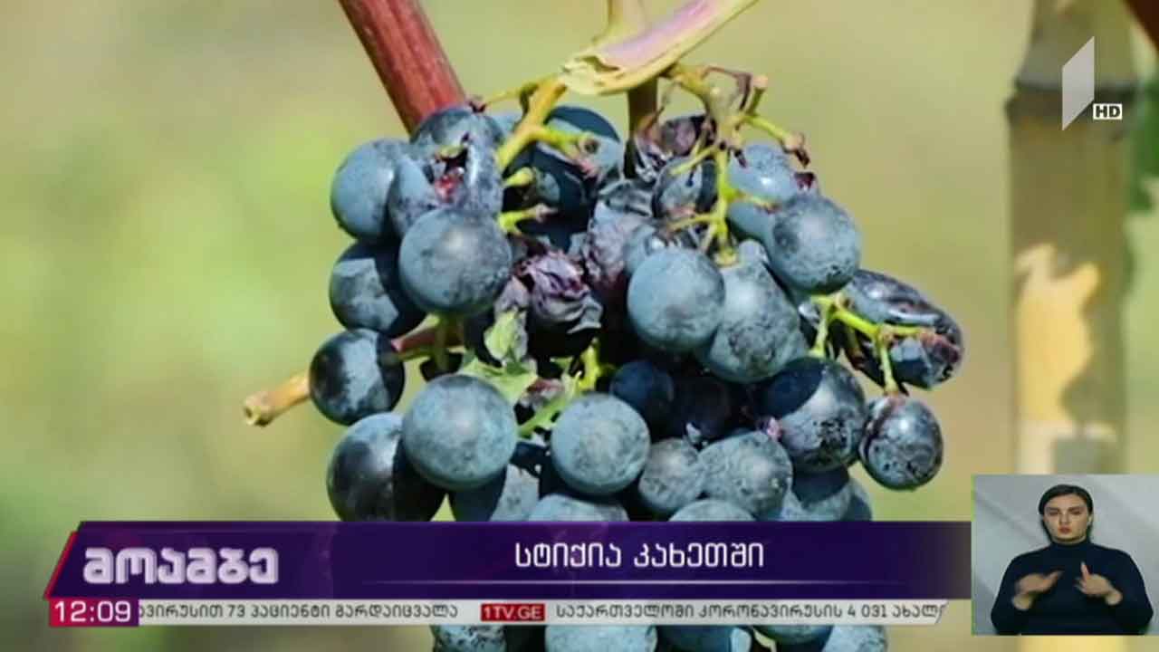 სტიქია კახეთში