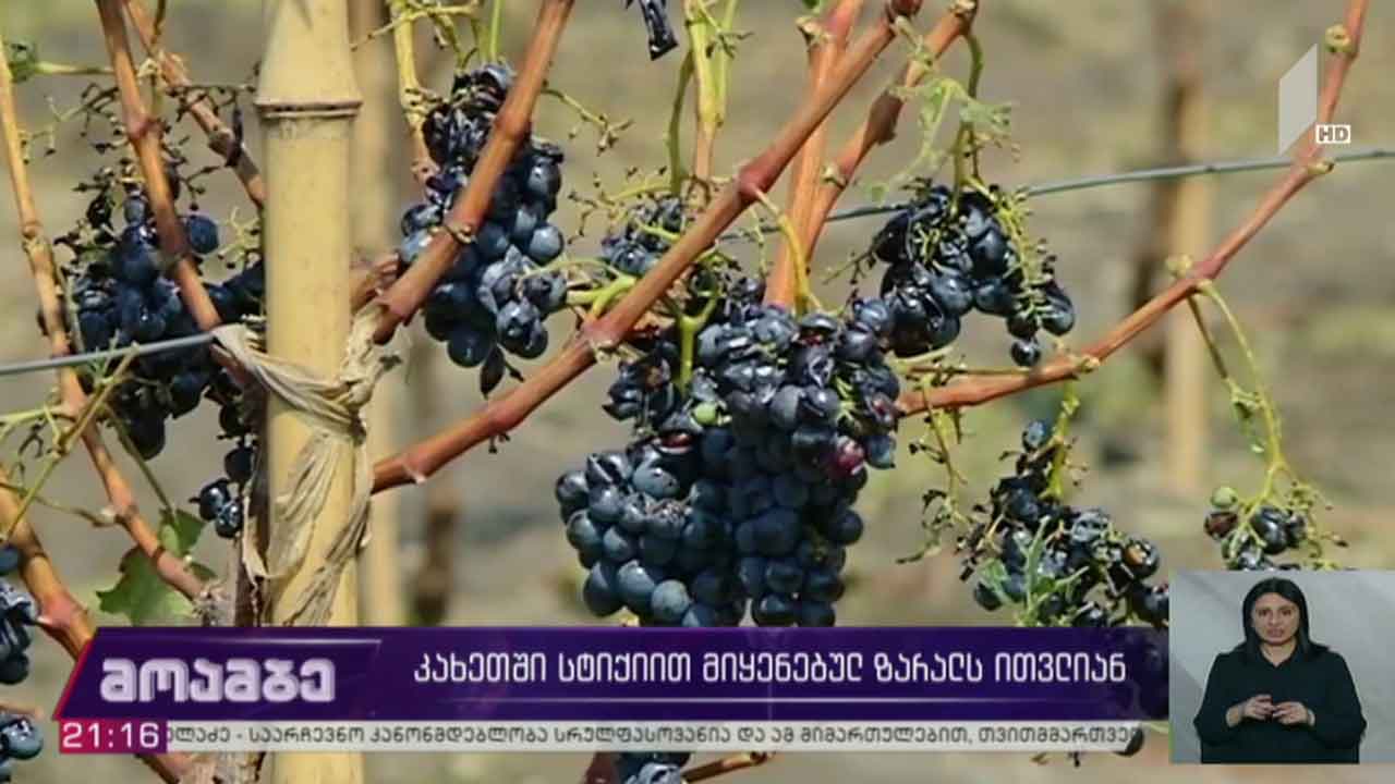 კახეთში სტიქიით მიყენებულ ზარალს ითვლიან
