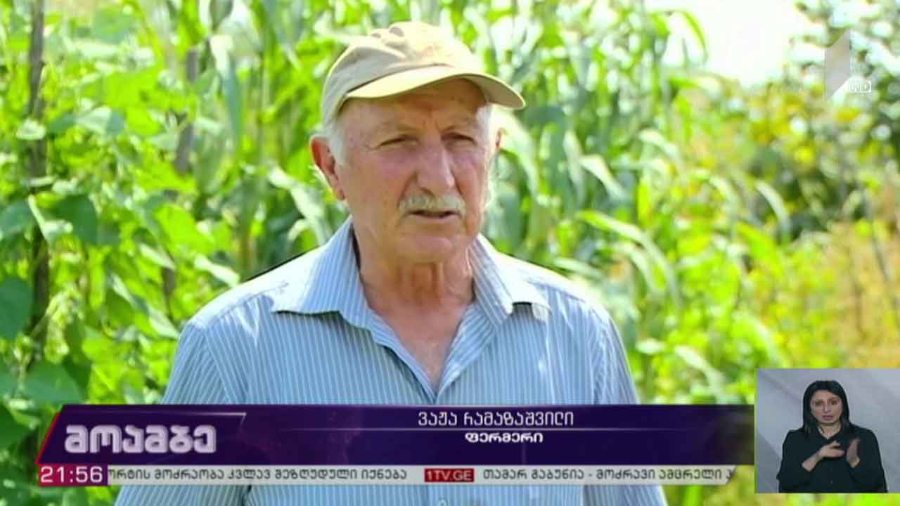 დაანონსებული პროგრამები ხვალიდან ამოქმედდება