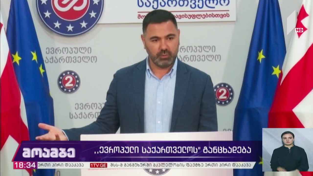 პარტია „ევროპული საქართველოს“ განცხადება