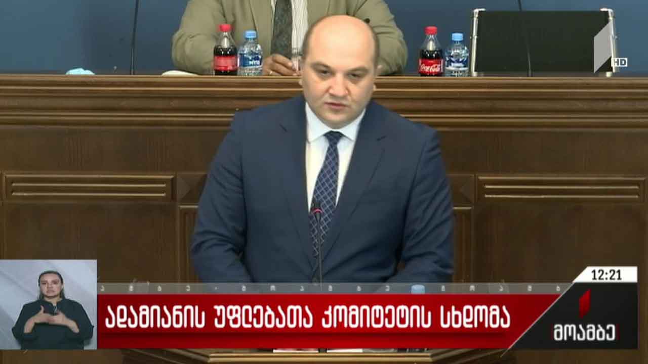 ადამიანის უფლებათა კომიტეტის სხდომა