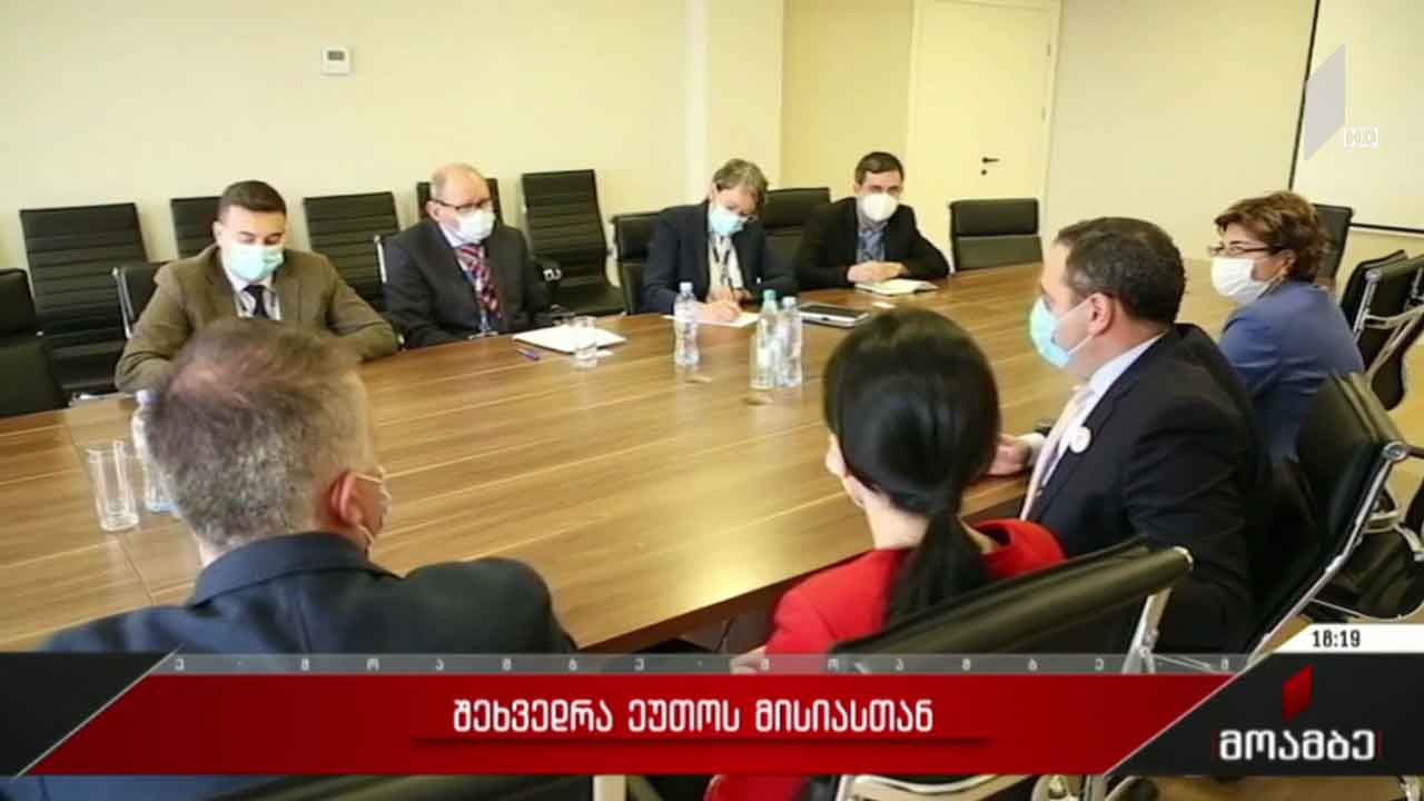 შეხვედრა ეუთო-ს მისიასთან