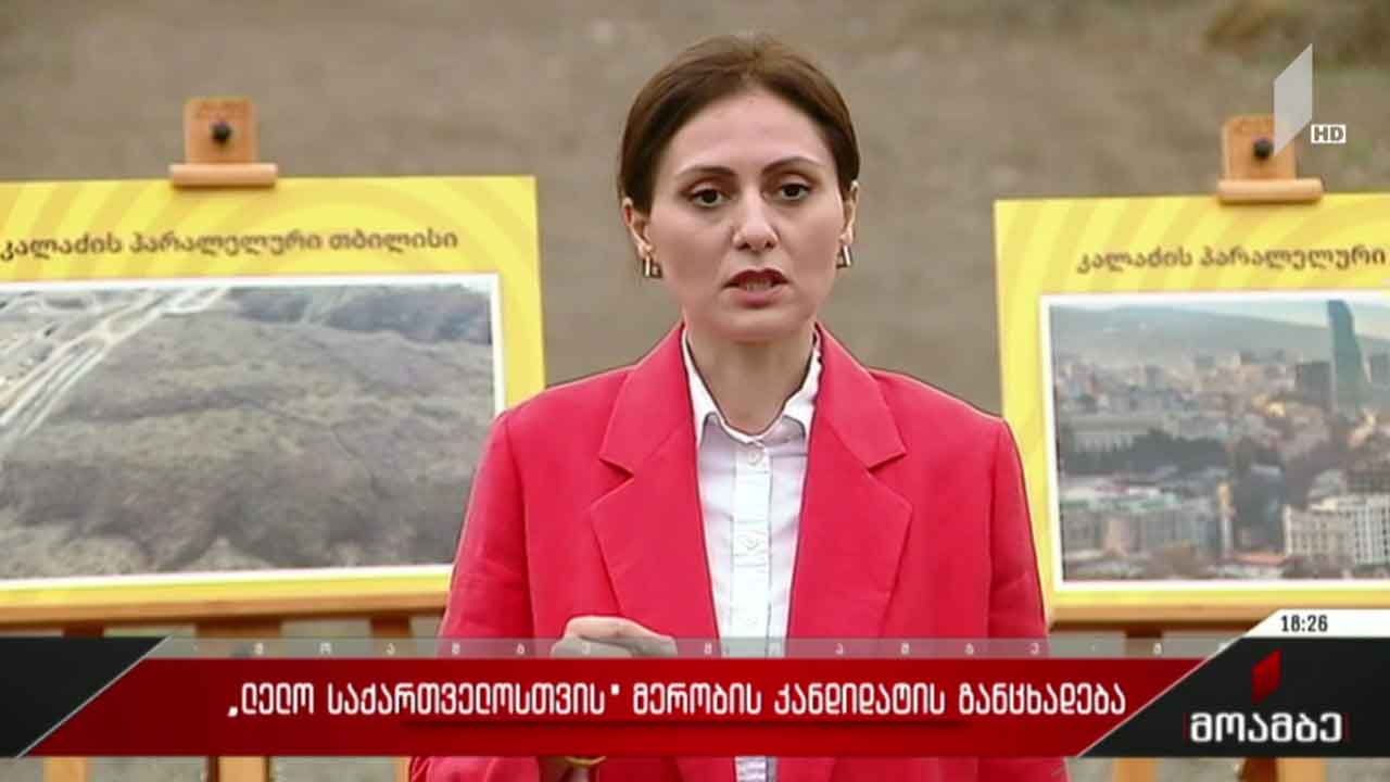„ლელო საქართველოსთვის“ მერობის კანდიდატის განცხადება