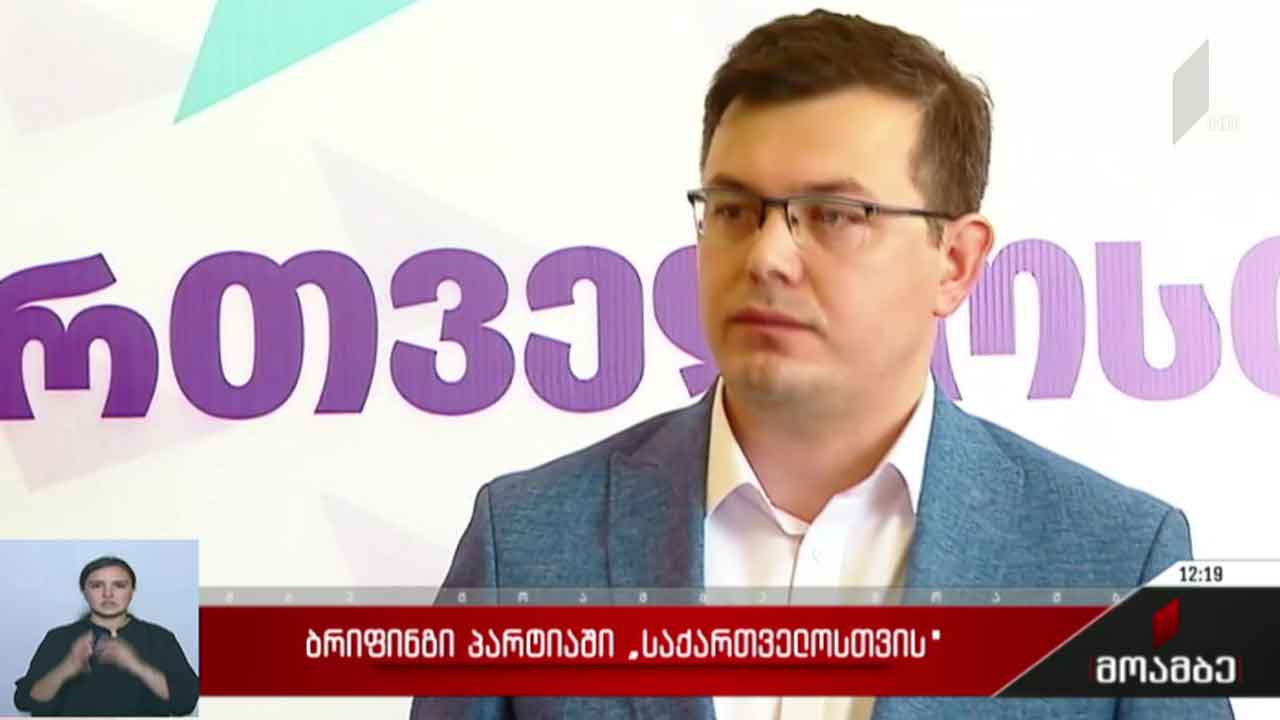 ბრიფინგი პარტიაში „საქართველოსთვის“