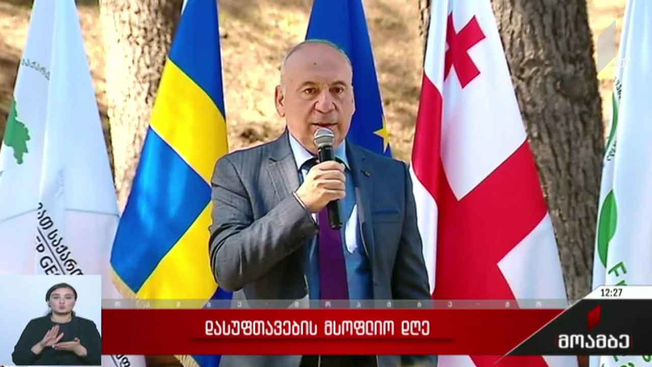 დასუფთავების მსოფლიო დღე