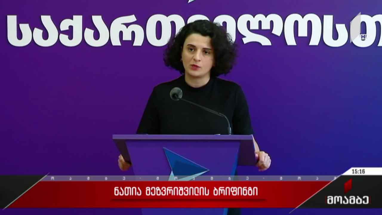 ნათია მეზვრიშვილის ბრიფინგი