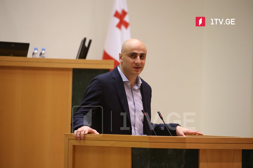 Prosedur məsələləri üzrə Komitə Nika Meliyanın deputat səlahiyyətlərinin dayandırılması məsələsini bu gün müzakirə edəcək